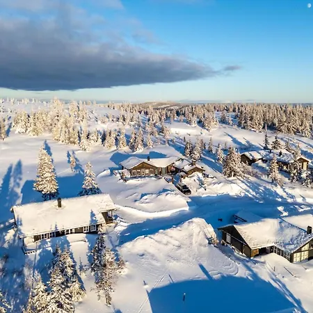 Orrhanen - Utsikt & Skiloyper - Budor - 60 Min Osl Guest house 4*